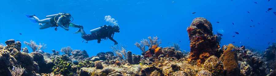 Advanced Diving Course Cozumel PADI Advanced Open Water