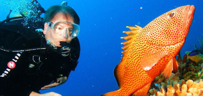 Scuba Diving Cozumel - Save!