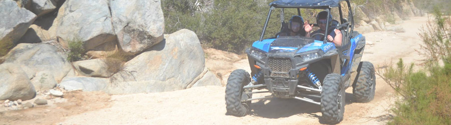 cabo rzr tours