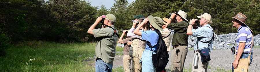 Cozumel Birdwatching | Cozumel Hidden Trails Birdwatching Deals