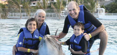 Cabo Dolphin Swim