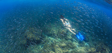 Catamaran to Espiritu Santo Island and Baja Sightseeing in Todos Santos