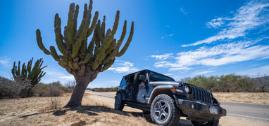 Private Baja Off-road Desert and Canyon Jeep Tour