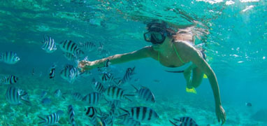 All Cabo San Lucas Snorkeling Tours