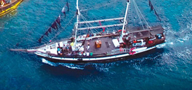 Cabo Pirate Ship Breakfast & Snorkeling Adventure