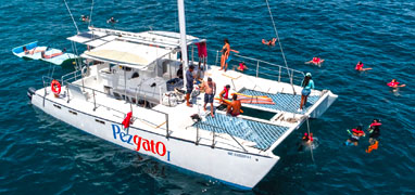 Cabo Santa Maria Bay Sailing Catamaran Tour