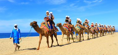 San Lucas Arches & Beach Camel Ride