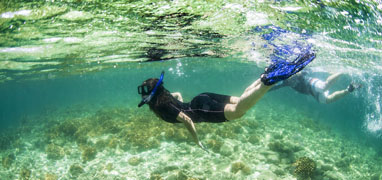 La Paz Baja Sea Lion Snorkel, Stand-Up Paddleboarding and Beach Resort