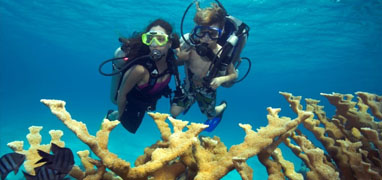 Cozumel Scuba Diving (2-Tank)