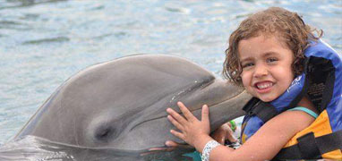 Cozumel Dolphin Swims & Sea Life Encounters At Chankanaab Adventure Park 