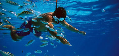 Snorkeling Tours