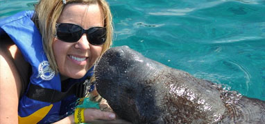 Manatee Encounter Cozumel