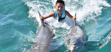 Royal Dolphin Swim Cozumel