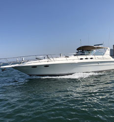 Mazatlan El Cid Odisea Luxury Yacht | Mazatlan Yacht Charter Deals