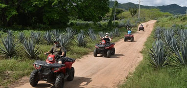 Excursión Todo Terreno La Noria, Sierra Madre & Tequila