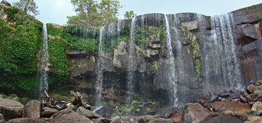 Parque Nacional de la Montaña Mexiquillo & Excursión a la Cascada