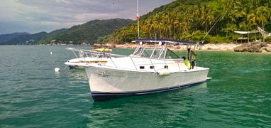 30’ Custom Snorkeling & Sport Fishing Charter