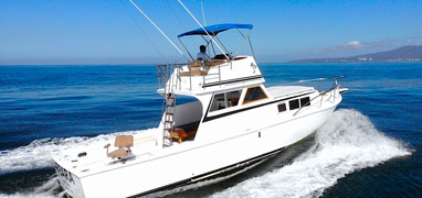 36’ Private Charter For Snorkeling Banderas Bay, Marietas Islands & Hidden Beach