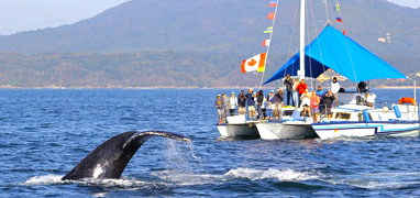 Private 42’ Trimaran Charter in Puerto Vallarta