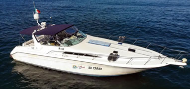 42’ Sea Ray Luxury Yacht Puerto Vallarta