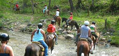 ATV, Canopy & Horses