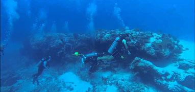 Majahuitas & Los Arcos Scuba Puerto Vallarta