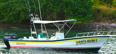 Private Panga Rentals in Banderas Bay