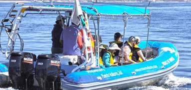 Private Zodiak Whale Watching Charter