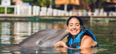 Royal Dolphin Swim + Aquaventuras Water Park