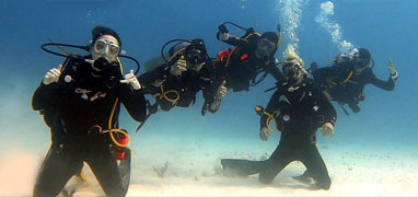 Cozumel Diving Excursion From Playa del Carmen