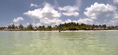 Isla Holbox Mexico Discovery