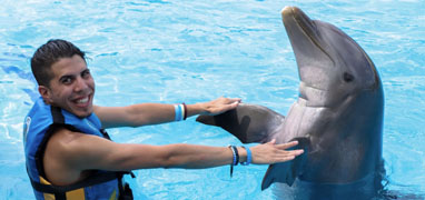 Isla Mujeres Dolphin Encounter