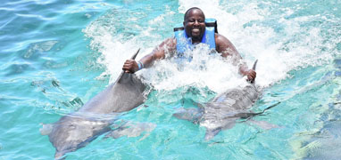 Isla Mujeres Dolphin Swim Adventure