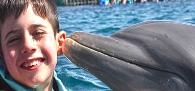 Cozumel Dolphin Swims