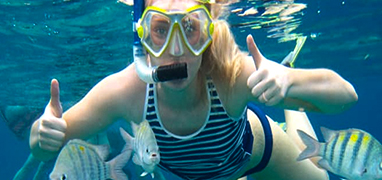 Cozumel Snorkeling Excursions