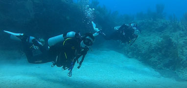 Playa Del Carmen Reef Dive (2 Tanks)