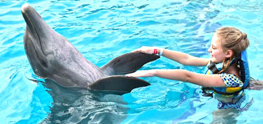 Playa Maroma Dolphin Encounter