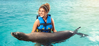 Puerto Aventuras Dolphin Swim + Manatee & Sea Lion Combo