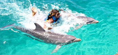 Puerto Aventuras Swim Adventure