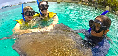 Snorkel With Sting Rays in Cozumel